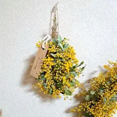 Item thumbnail for item e4b762f8-8898-410e-a96a-afe5cf8944e9