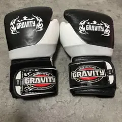 HAYABUSA Tokushu ボクシンググローブ 14oz - メルカリ