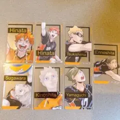 ハイキュー Fan Park 箔押しクリアカードコレクション 烏野 7枚