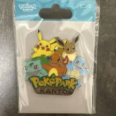 ポケパーク KANTO グッズ ピンズ 御三家 ピカチュウ イーブイ ピンバッジ