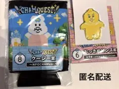 んぽちゃむエンタメくじ　クージー賞　おっきめピンズ賞　セット