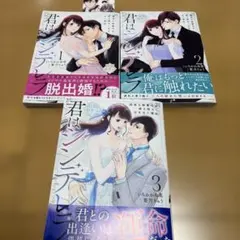 君はシンデレラ～孤高な御曹司が絶え間なく愛を注ぐ理由～【財閥御曹司シリーズ】