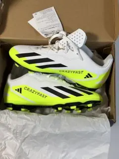 Item thumbnail for item e191bf7e-43c7-403b-bb5d-b189644d176c