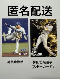 プロ野球チップスカード　2枚セット　柳田悠岐(スターカード)選手、柳裕也投手