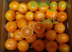 Item thumbnail for item aeec1af0-9ab0-45b1-a877-09bf12e9ee04