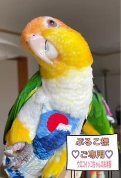 Item thumbnail for item cf766c61-2ebc-408c-9fbe-2861616f5d37