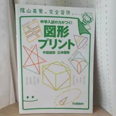 図形(作図)習熟プリント 小学全学年 - メルカリ