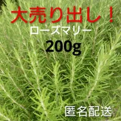 2025年最新】ローズマリー苗の人気アイテム - メルカリ