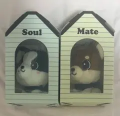 INFINITY MOON登坂広臣ØMI Mate Soulメイト ソウル - メルカリ