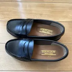 Item thumbnail for item 5482f4f1-40d5-4675-a7e7-c606e3cb1ea3