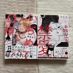 ＢＬコミック ２冊セット