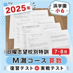 2025年度最新版　浜学園M灘コース前期復習テスト 2026年最新】浜学園 復習テストの人気アイテム - メルカリ