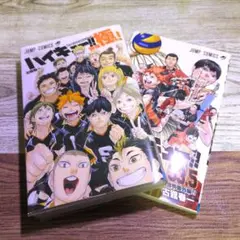 ハイキュー!! ファイナルガイドブック 排球極! 劇場版 33.5巻 2冊セット