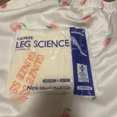 グンゼGUNZE LEG SCIENCE 弾性ストッキング 着圧ソックス S S