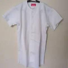 Item thumbnail for item 57deacef-e497-4ff8-a497-970088c493ae