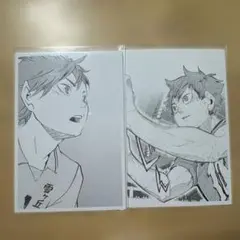 ハイキュー　日向 翔陽 ポストカードセット