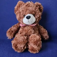 くま　ぬいぐるみ　ポーチ