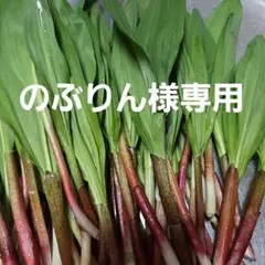のぶりん様専用！北海道産天然行者ニンニク1kg