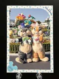 TDL ディズニー スペフォ サンパー ミスバニー