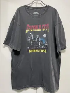 manastash マナスタッシュtシャツ肩幅59身幅60着丈74 XL美品
