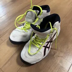 バッシュ　22.5㎝　アシックス　ダンクショット　白