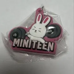 SEVENTEEN MINITEEN めじるしアクセサリー エスクプス ガチャ