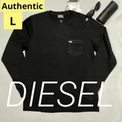 洗練されたデザイン DIESEL　T-JUST-LS A17547 L