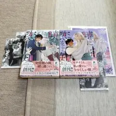 bl小説 暁に恋を知れ　上下巻