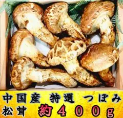 2025年最新】北海道 松茸の人気アイテム - メルカリ