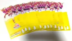 ウマ娘プリティーダービー　新時代の扉　第3弾　入場者特典　13枚