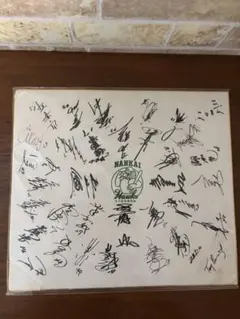 真作保証 新井康須雄「木曽駒高原」油彩 F10号 サイン裏書有 額装 広島東洋カープ 新井貴浩監督 直筆サイン色紙 - メルカリ
