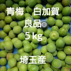 専用品　大分県産　青梅　10キロ＋α　5月30日（土）収穫　サイズはL以上 大分県産 青梅 5キロ＋α 6月6日（土）収穫 サイズはL以上 - メルカリ