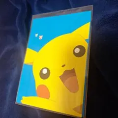 そらをとぶピカチュウ_ANA 「ジェットでゲットだ！Wチャンス