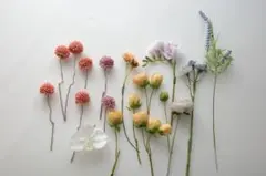 フリージア８８出品 2025年最新】ピンクフリージアの人気アイテム - メルカリ