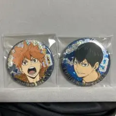 ハイキュー!! 日向翔陽 影山飛雄 缶バッジ 2個セット