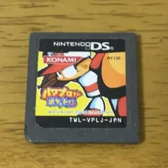 パワプロクンポケット13 ソフトのみ
