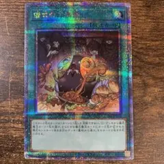 遊戯王　儀式の下準備　25th クオシク　3枚セット　匿名配送 儀式の下準備 25th 3枚セット クオシク - メルカリ