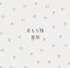 おもち様　専用ෆ