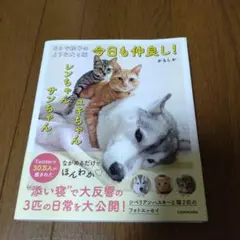 まるで親子のような犬と猫 今日も仲良し! ユキちゃん レンちゃん サンちゃん
