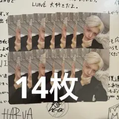 &TEAM Back to Life MAKI 14枚