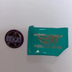 世界 山本世界 缶バッジ 缶バッチ