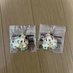 ディズニー チャーム