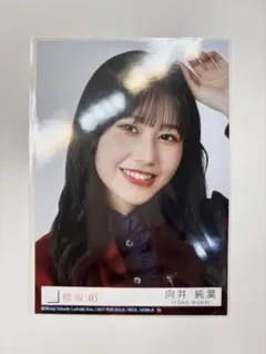 2026年最新】向井純葉 生写真の人気アイテム - メルカリ