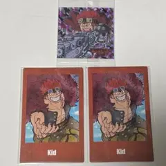 ワンピース　麦わらストア出張店　ポラショットコレクション　ユースタス・キッド他