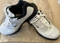 Item thumbnail for item 225d9fcf-1b46-4a40-b04e-d8481d430c2c