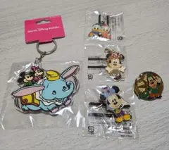 東京ディズニーリゾート キャラクターキーホルダー 5個セット