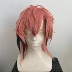 にじさんじ 赤城ウェン コスプレ衣装 ウィッグ - メルカリ