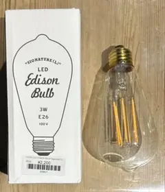 電球 Edison Bulb 新品未使用+1個
