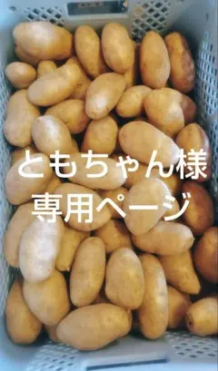 ともちゃん様専用ページです