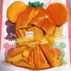 ディズニー シークレットポンチョ オレンジ GLOSSY FRUITS